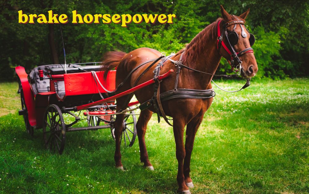 Car engine bay showing brake horsepower measurement and dynamometer testing