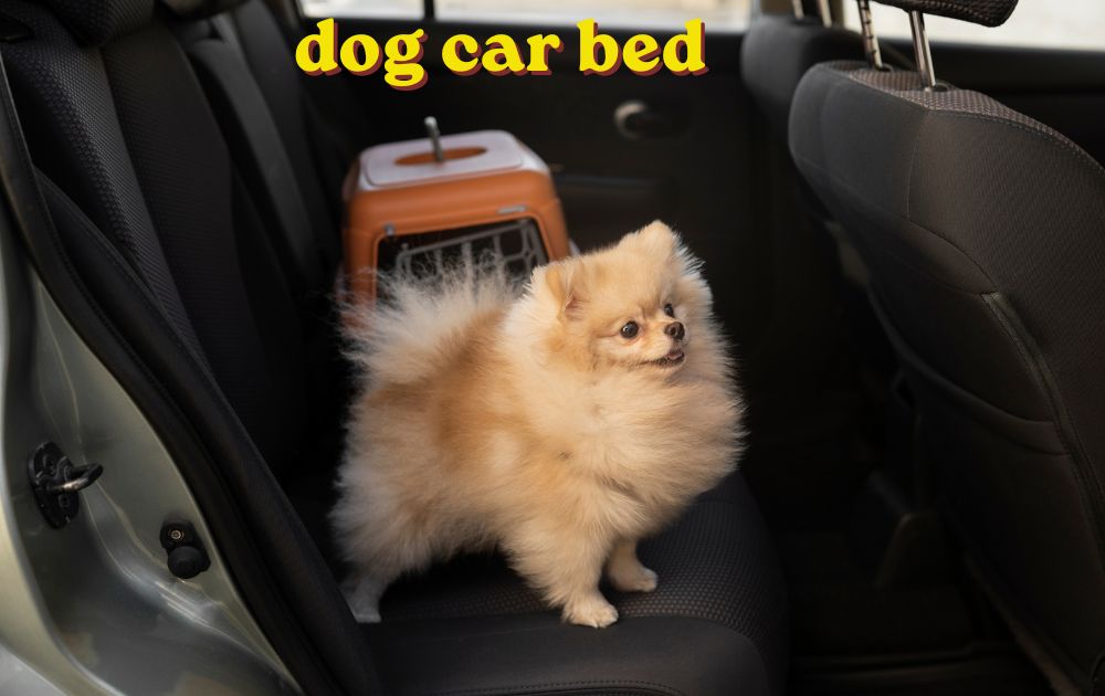 Dog car bed with waterproof cover set up on the back seat of a car