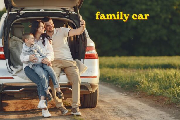 Family loading luggage into the boot of a family car before a road trip