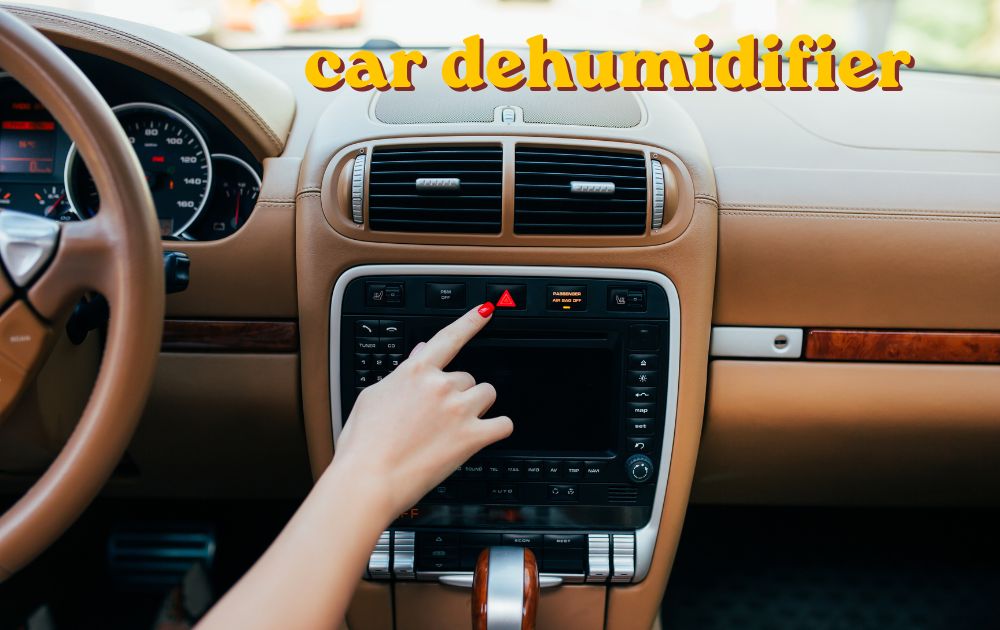 car dehumidifier bag on dashboard next to foggy windscreen